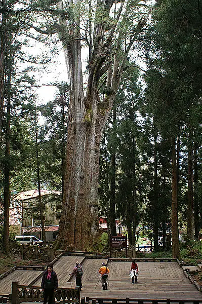 Lipa Matanah