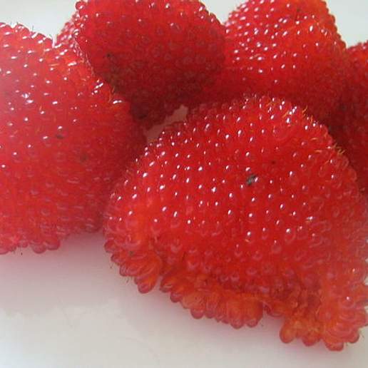 Japanese Raspberry