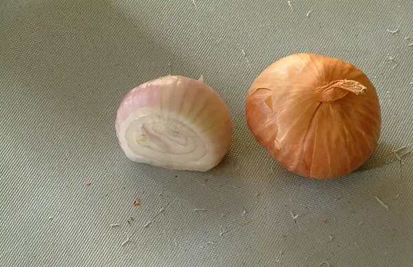 Wild Onion