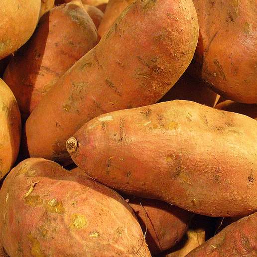 Sweetpotato